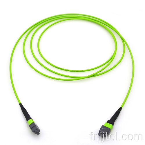 Câble de ligne MPO 12F 24F OM5 Lime 3,0 mm